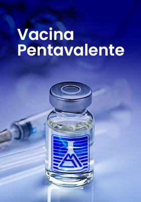 Prancheta 1